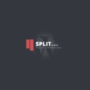 Split : WordPress CV Vcard Template