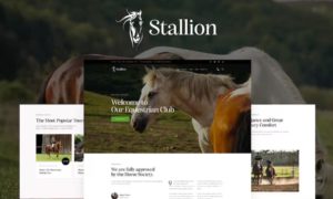 Stallion – An Equestrian Club and Horse Riding School WordPess Theme