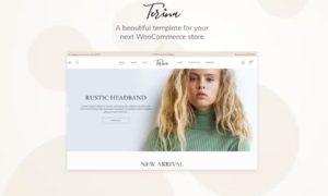 Terina – Multipurpose Elementor WooCommerce Theme