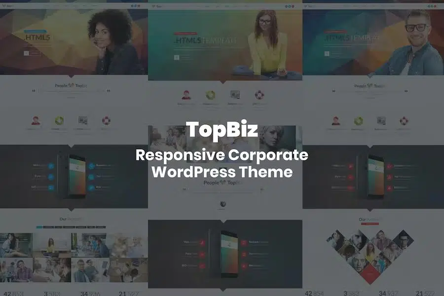 TopBiz – Responsive Corporate WordPress Theme