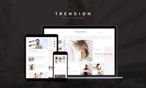 Trendion – A Personal Lifestyle Blog and Magazine WordPress Theme