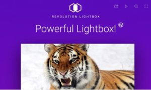 Revolution Lightbox WordPress Plugin