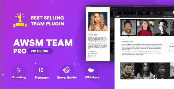 The Team Pro – Team Showcase WordPress Plugin